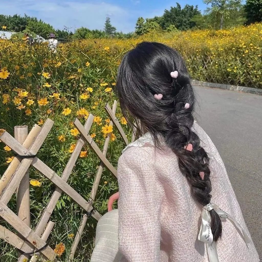 咸鱼先生，Rose小姐之彗星来了